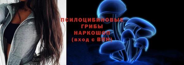 прущие крисы Алексеевка