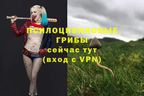 mdpv Алзамай