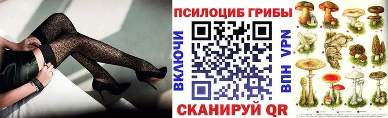 omg tor  Черкесск  Псилоцибиновые грибы GOLDEN TEACHER  где можно купить  
